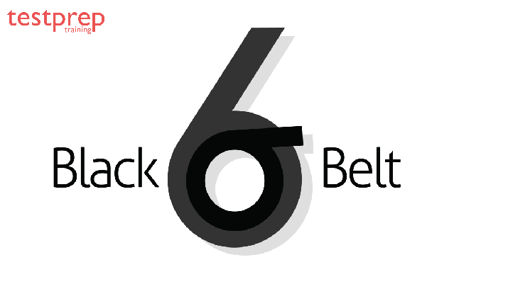 Six Sigma Black Belt