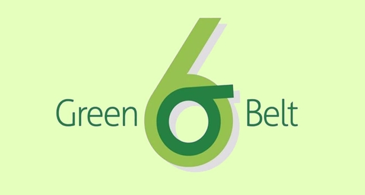 Six Sigma Green Belt - The Synopsis - Blog