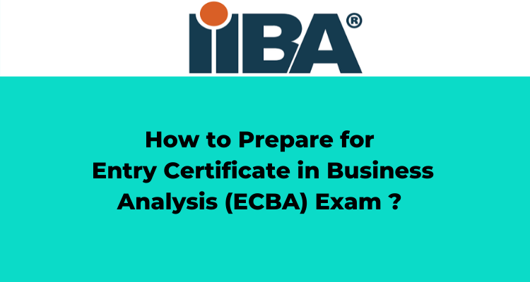 Entry Certificate in Business Analysis (ECBA) Exam