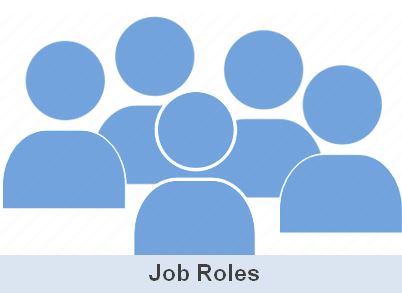 Job Roles of CompTIA Security+ Professional 