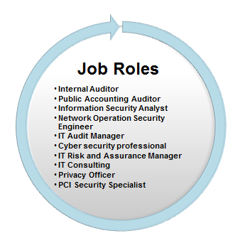 Job roles for CISA