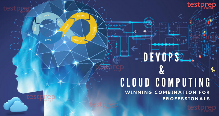 DevOps and Cloud Computing: A winning combination for Professionals