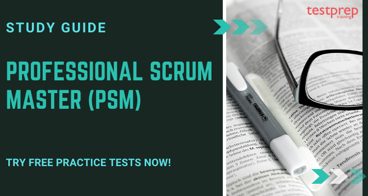 Professional Scrum Master (PSM)