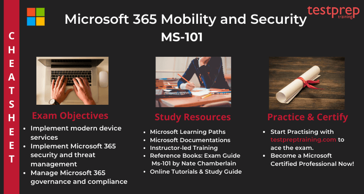 ms 101 case study