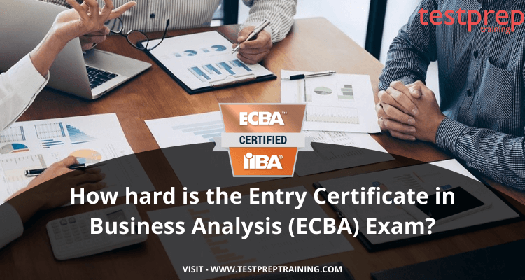 Entry Certificate in Business Analysis (ECBA)