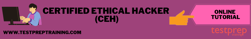 Certified Ethical Hacker (CEH) ONLINE TUTORIAL