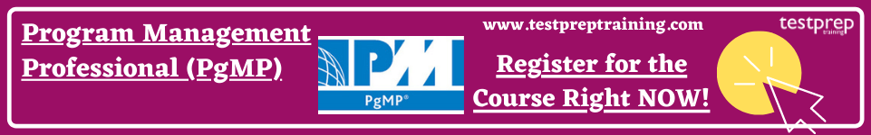 Program Management Professional (PgMP) 