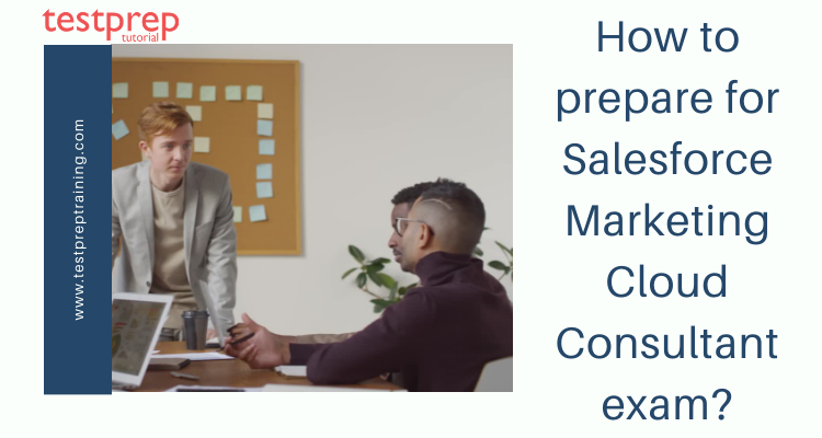 Salesforce Marketing Cloud Consultant Online Tutorial