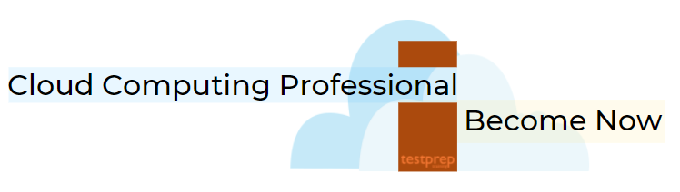 cloud computing professional