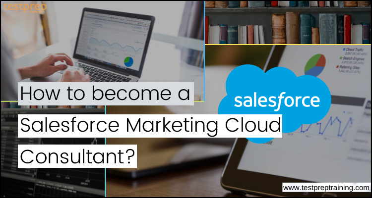 Salesforce Marketing Cloud Consultant