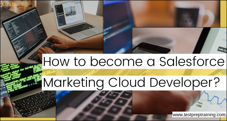 Salesforce Marketing Cloud Developer