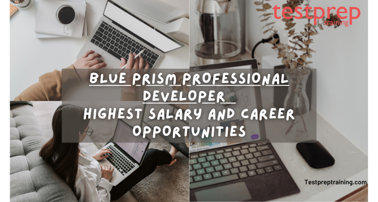 Blue prism Professional Developer