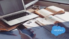 Salesforce Development Lifecycle and Deployment Architect 