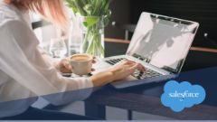 Salesforce Sharing and Visibility Architect 