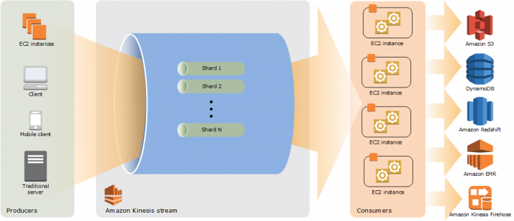 determine the operational characteristics of the collection system
