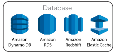 database