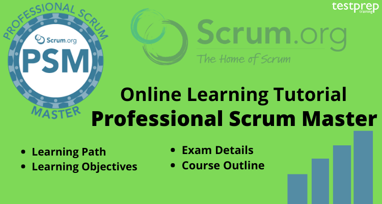 Professional Scrum Master (PSM) 