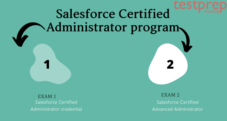 Salesforce Administrator (ADM-201)