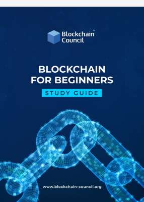 Certified Blockchain Expert Book