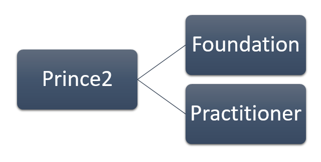 PRINCE2 Practitioner Learning Path