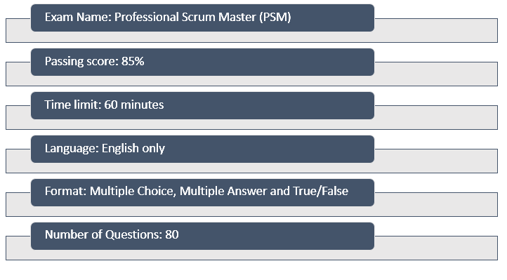 Professional Scrum Master (PSM)