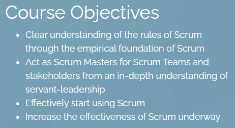 Professional Scrum Master (PSM)