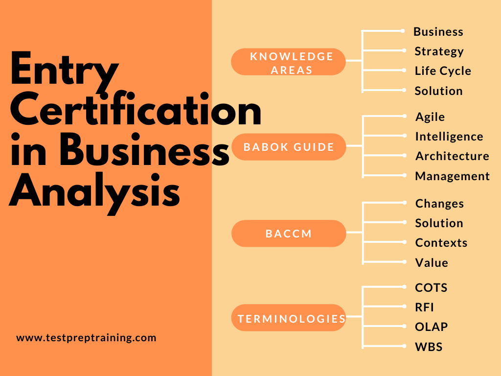 ECBA exam BABOK GUIDE