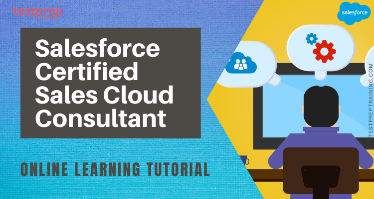 Salesforce Certified Sales Cloud Consultant (CRT-251) Online Tutorial