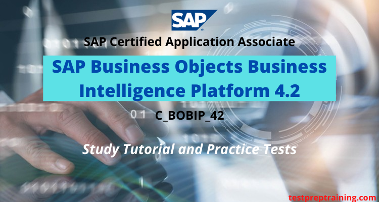 C_BOBIP_42 - SAP Certified Application Associate Online Tutorial