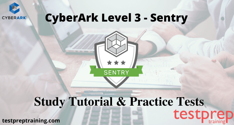 CyberArk Level 3 – Sentry Online Tutorials