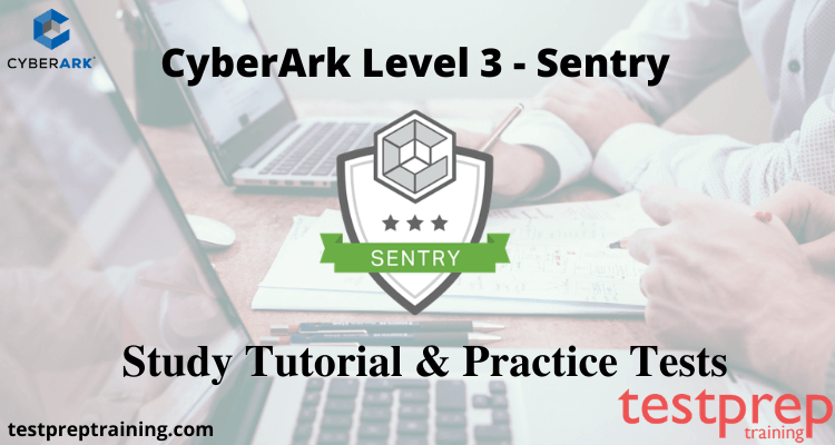 CyberArk Level 3 - Sentry Online Tutorial