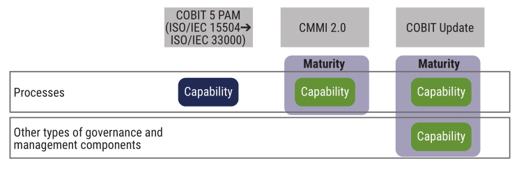 Performance management capability level