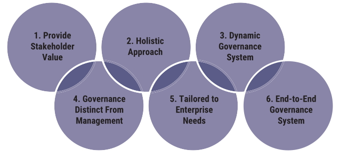 COBIT 2019 Governance System Principles