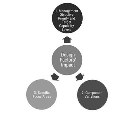 COBIT 2019 The impact of design factors