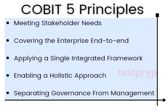 COBIT 5 principles