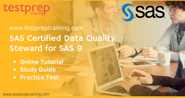 SAS Certified Data Quality Steward for SAS 9 online tutorial