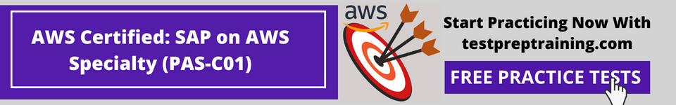 AWS (PAS-C01) Free Practice Tests
