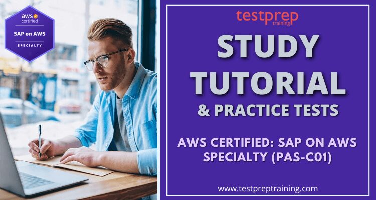 AWS (PAS-C01) Online Tutorial