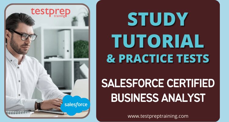 Salesforce Certified Business Analyst