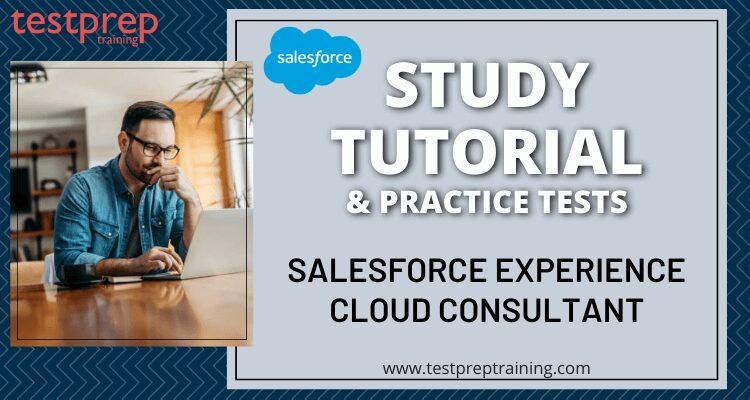 Salesforce Experience Cloud Consultant Online Tutorial