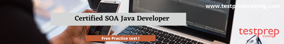 Certified SOA Java Developer Free practice test