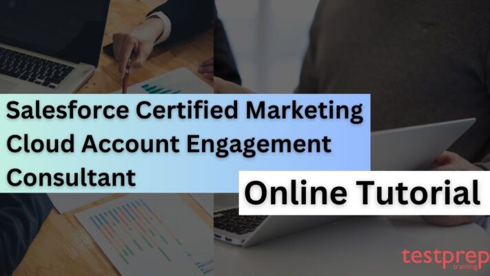 Salesforce Certified Marketing Cloud Account Engagement Consultant