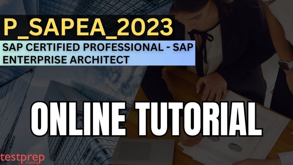 sap P_SAPEA_2023 exam